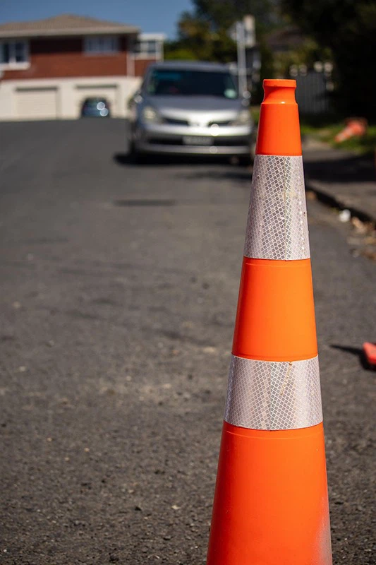 squirrelphotos-traffic-cone-46464661920